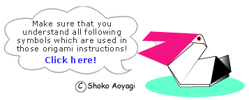 instruction